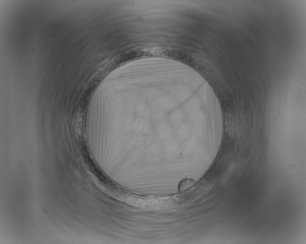 X0000077980036200611171740