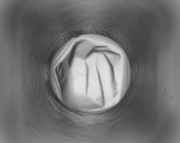 X0000077980038200611171740