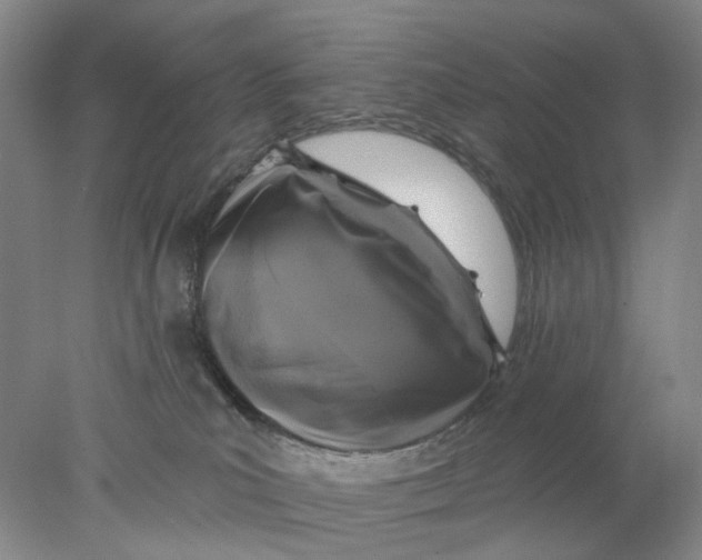 X0000077980039200611171740