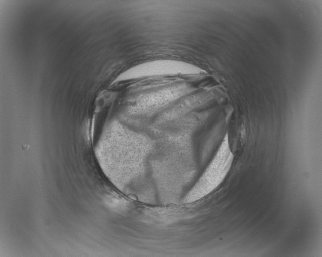 X0000077980041200611171740