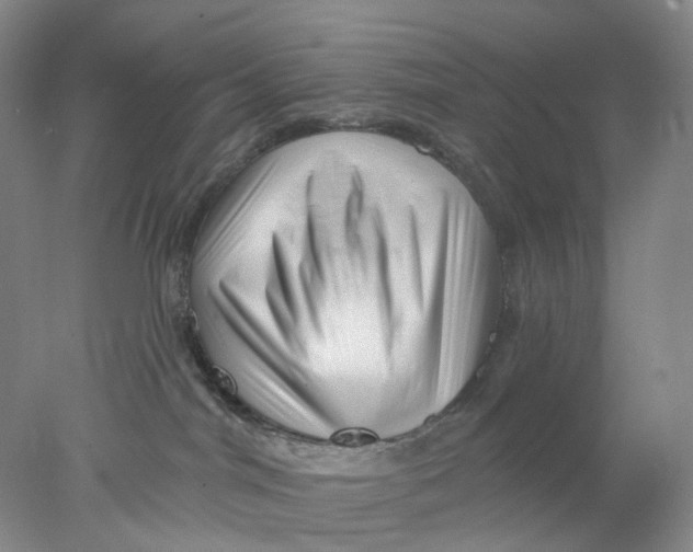 X0000077980044200611171740