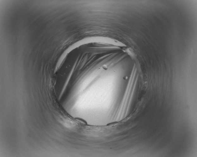 X0000077980045200611171740