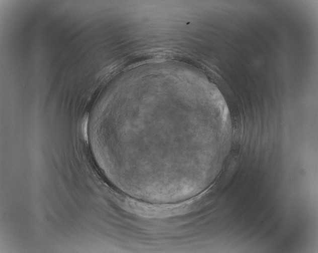 X0000077980047200611171740
