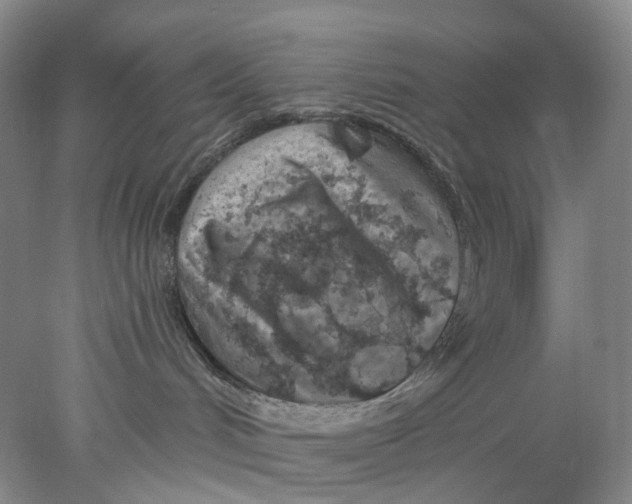 X0000077980048200611171740