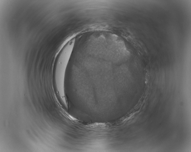 X0000077980052200611171739