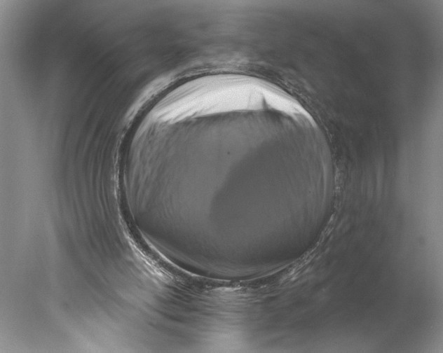 X0000077980054200611171739