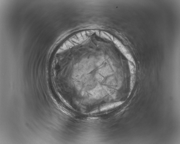 X0000077980055200611171739