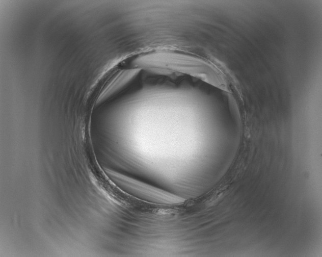 X0000077980060200611171739