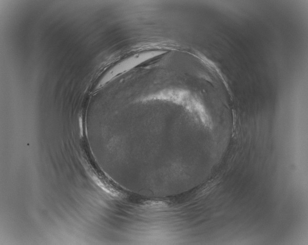 X0000077980061200611171739