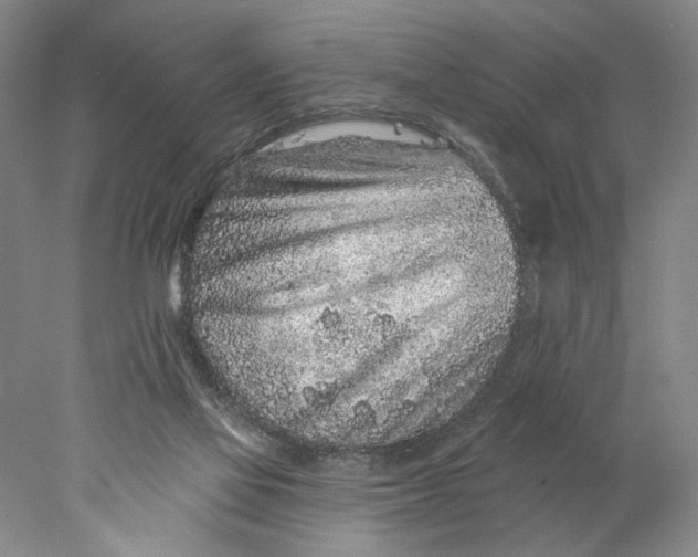 X0000077980069200611171739