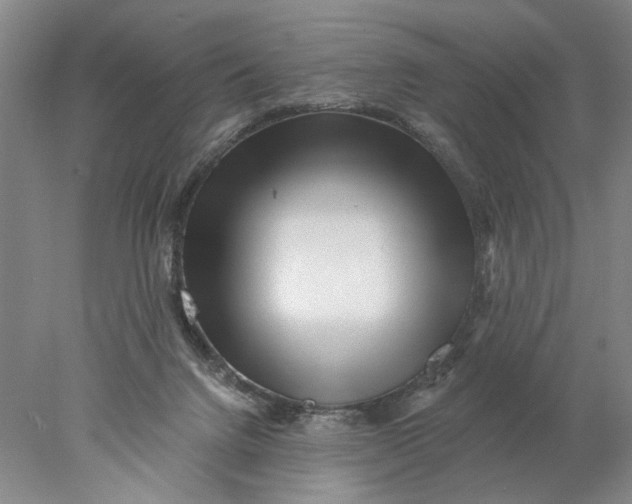 X0000077980072200611171739
