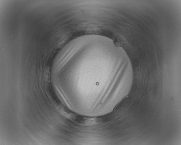 X0000077980083200611171740