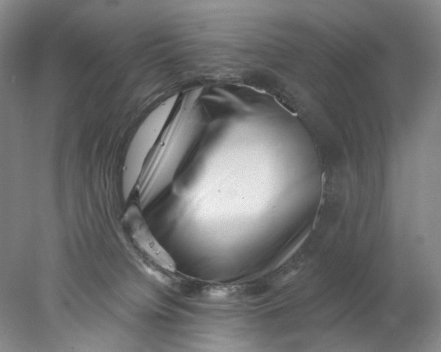 X0000077980084200611171740