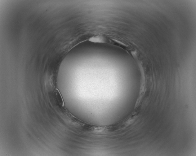 X0000077980088200611171740