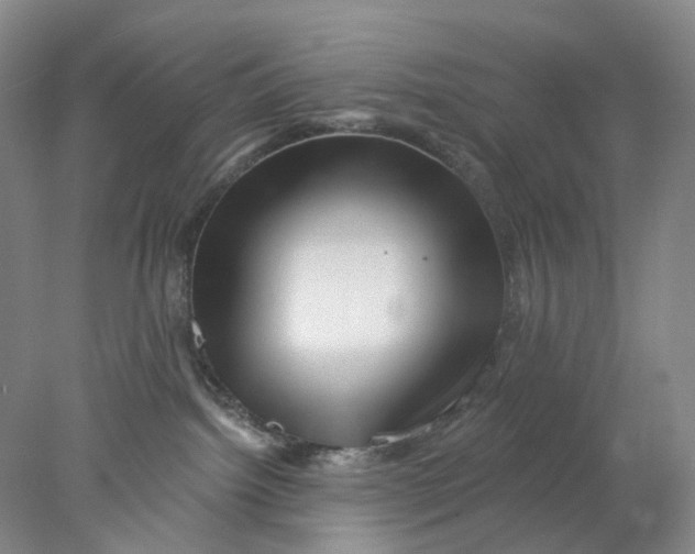 X0000077980092200611171740