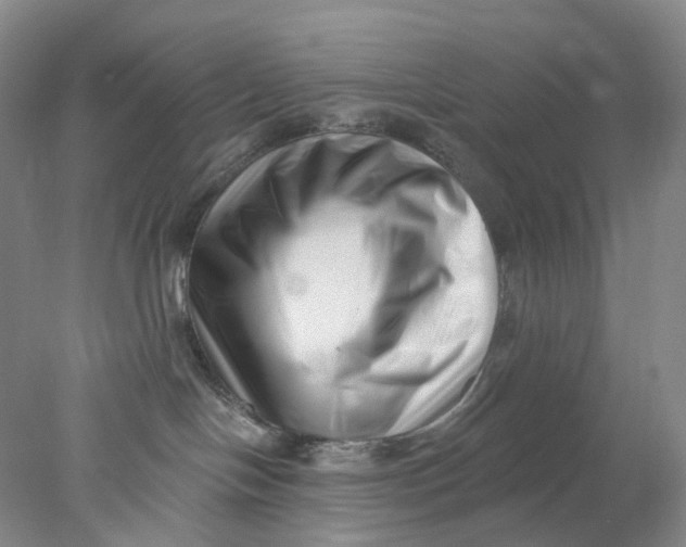X0000077980094200611171740