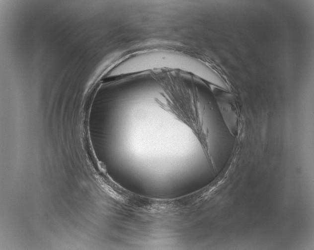 X0000077980101200611171739
