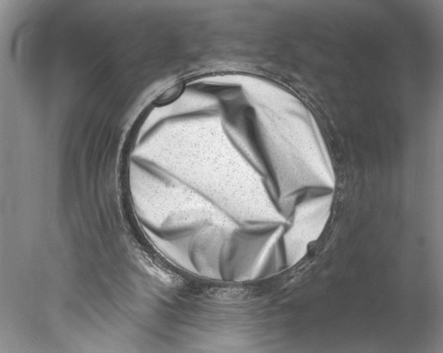 X0000077980104200611171739