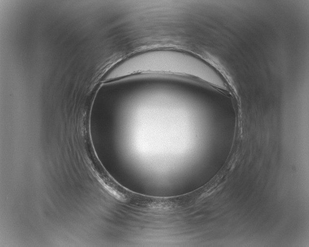 X0000077980105200611171739