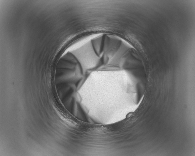 X0000077980108200611171739
