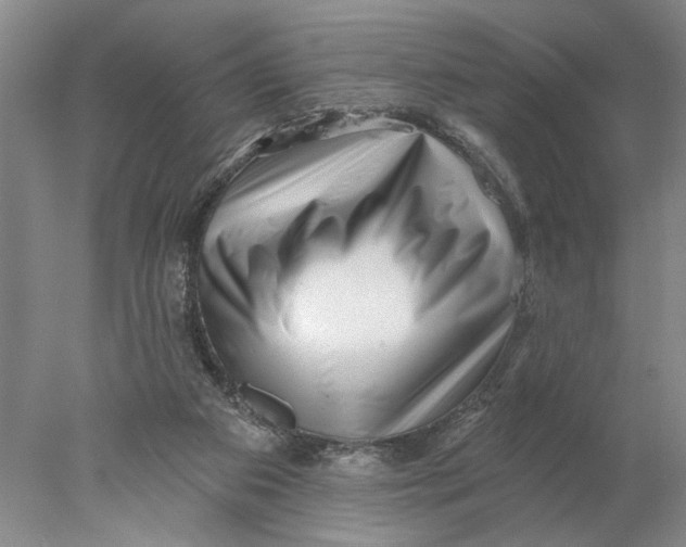 X0000077980113200611171739