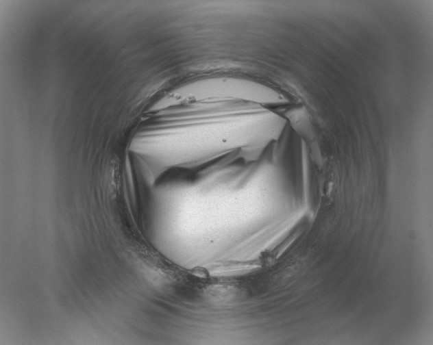 X0000077980119200611171739