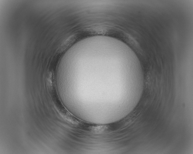 X0000077980122200611171739