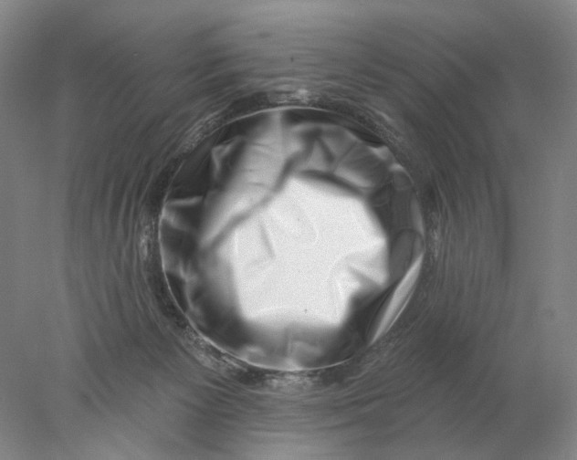 X0000077980125200611171738