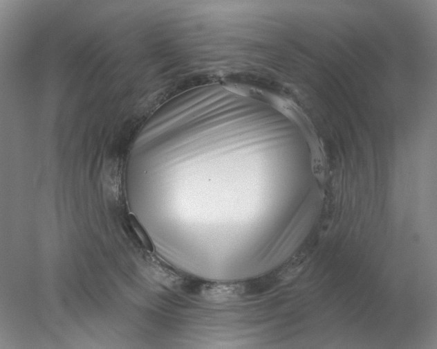 X0000077980129200611171738