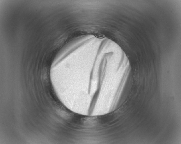 X0000077980132200611171738