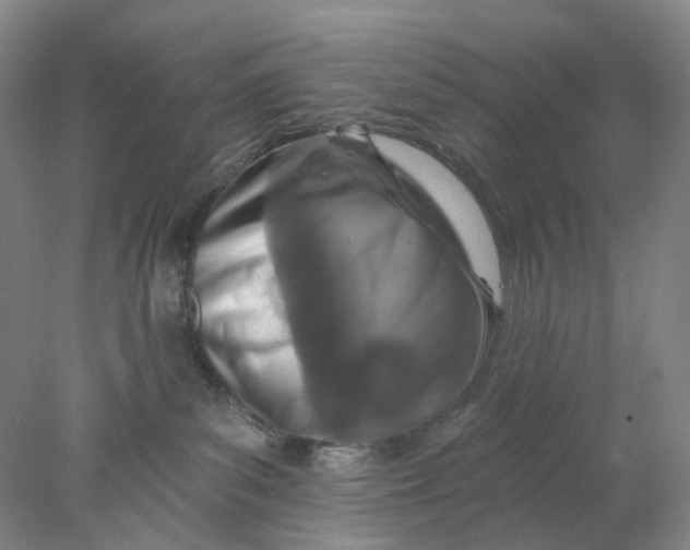X0000077980139200611171738