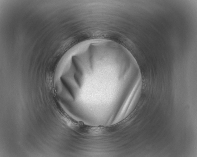 X0000077980142200611171738