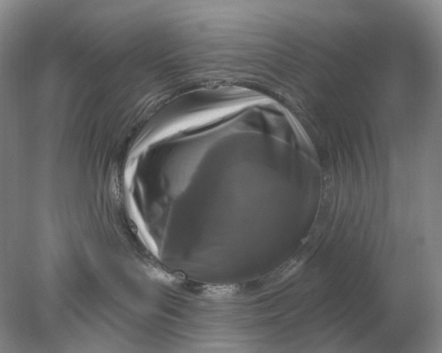 X0000077980143200611171738