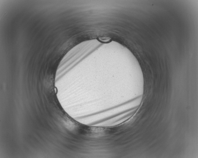 X0000077980144200611171738