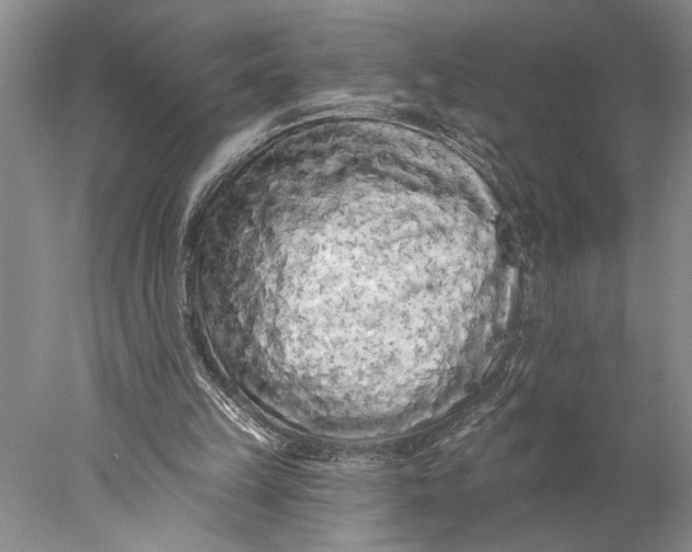 X0000077980149200611171737