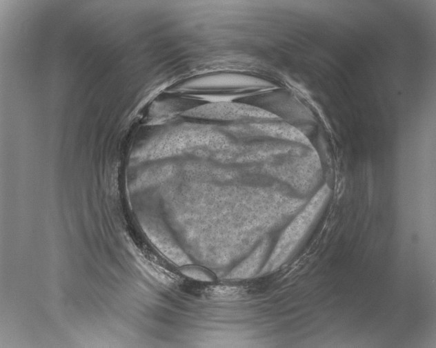 X0000077980154200611171738