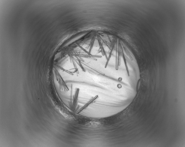 X0000077980159200611171738