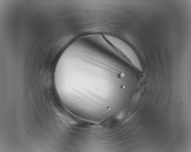 X0000077980164200611171738