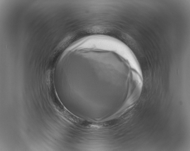 X0000077980167200611171738