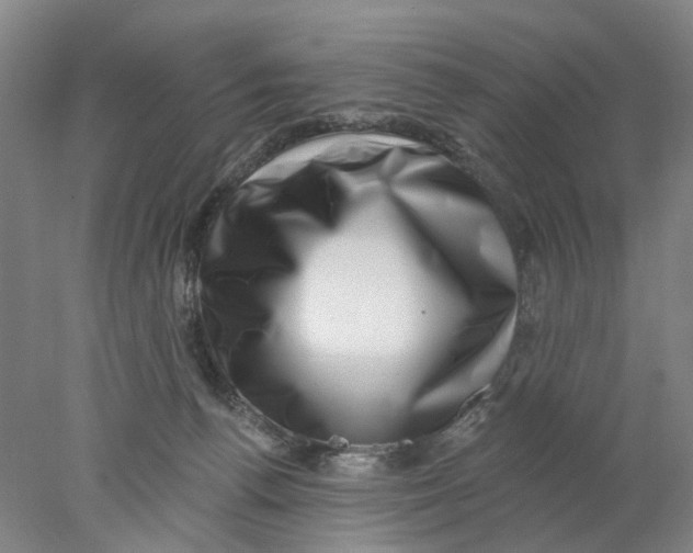 X0000077980176200611171738