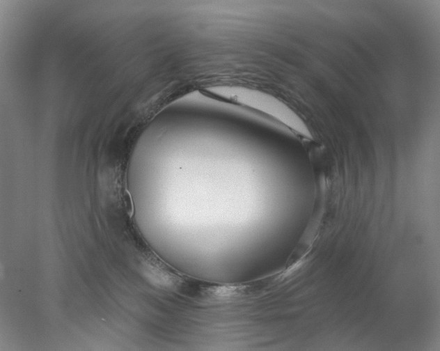 X0000077980184200611171738