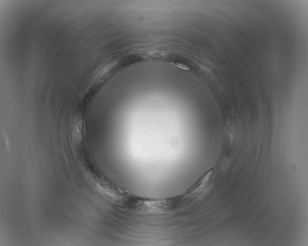 X0000077980188200611171738