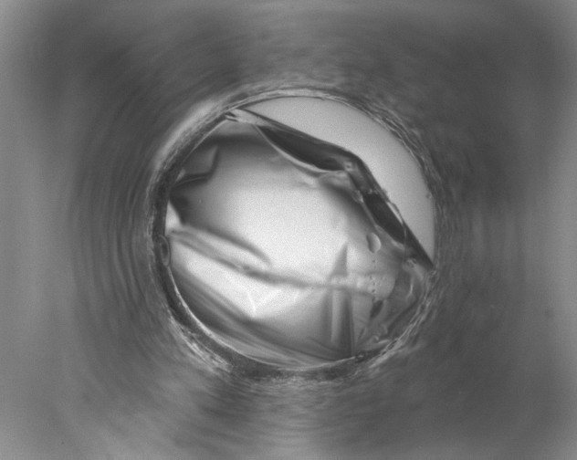 X0000077980197200611171737
