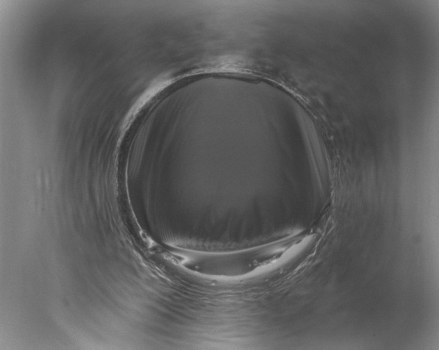 X0000077980200200611171737