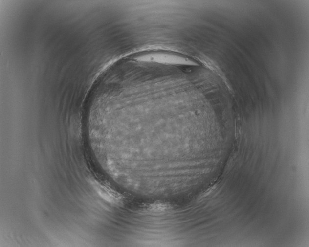 X0000077980204200611171737