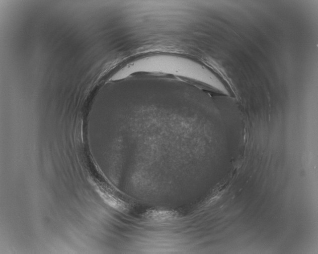 X0000077980205200611171737