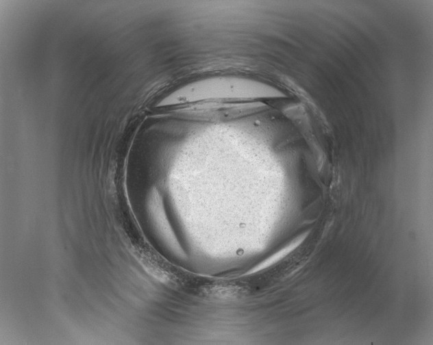 X0000077980209200611171737