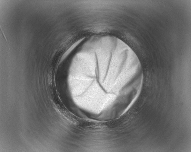X0000077980210200611171737