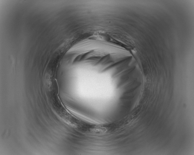 X0000077980215200611171737