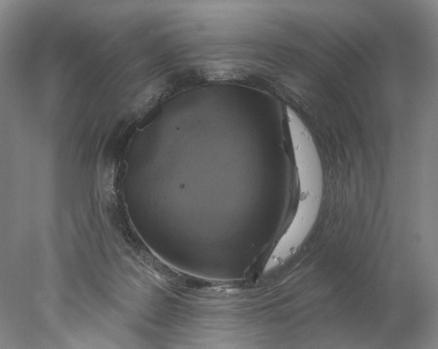 X0000077980219200611171737